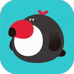 犀鸟好前途app  v5.8.3 最新版