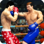 拳击明星冠军3D中文版破解版  v8.6 最新版